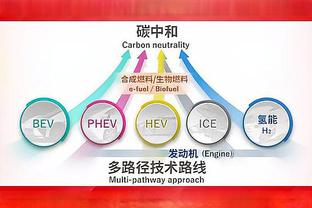 主刀医生：贝拉尔迪将像以前一样康复，并在9月至10月复出