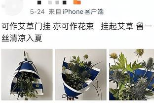 ?杨瀚森14+13+4帽 崔永熙22分 青岛力克广州迎3连胜